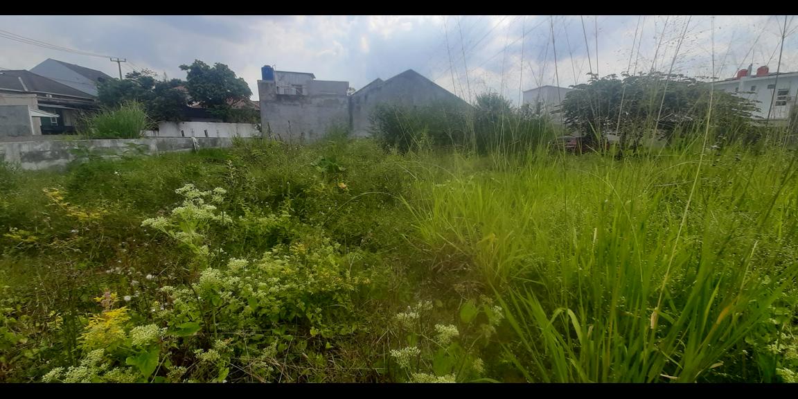 TANAH SIAP BANGUN DI CISARANTEN KULON ARCAMANIK BANDUNG TANAH SIAP BANGUN DI CISARANTEN KULON ARCAMANIK BANDUNG