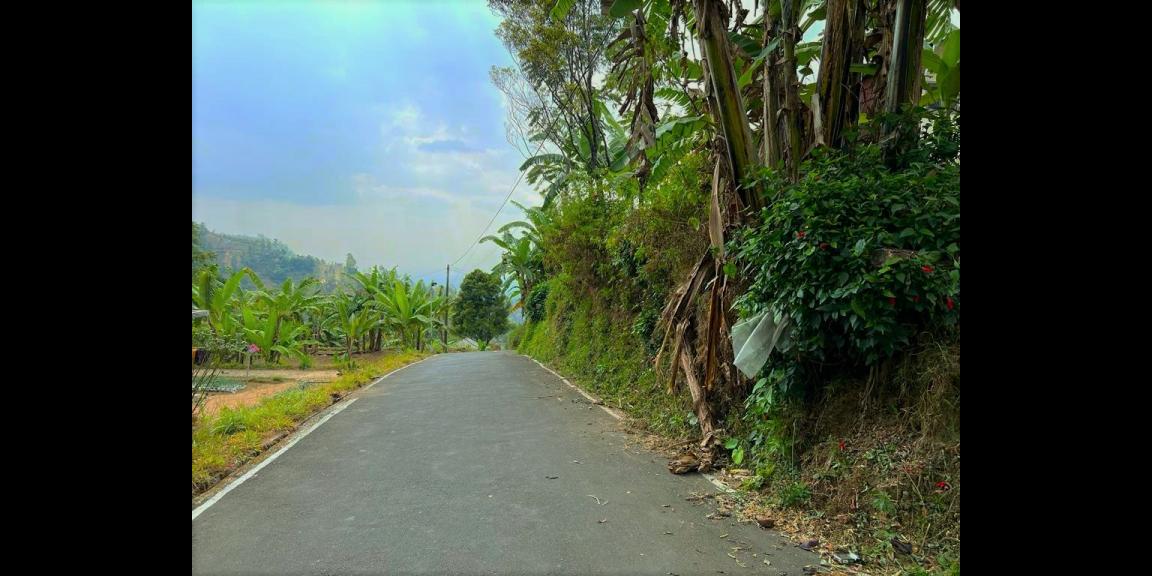 Tanah Datar View Kebun Teh & Jembatan Kaca Tanah Datar View Kebun Teh & Jembatan Kaca