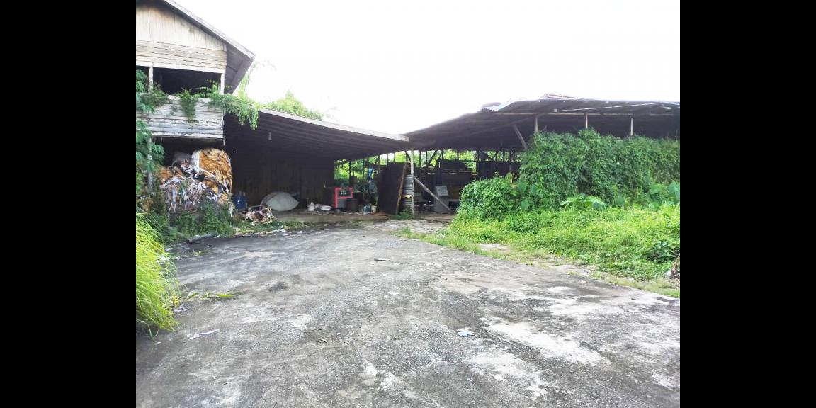 Tanah Panglima Aim, Pontianak, Kalimantan Barat Tanah Panglima Aim, Pontianak, Kalimantan Barat