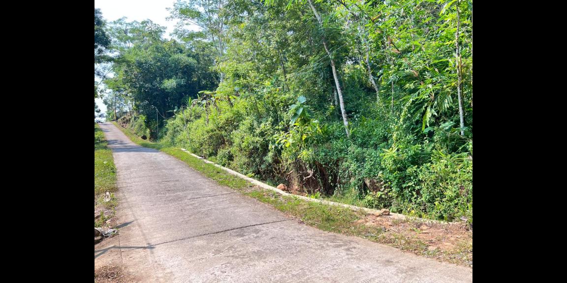 Tanah Murah 1857m² 125 Juta Sragen Jawa Tengah Tanah Murah 1857m² 125 Juta Sragen Jawa Tengah