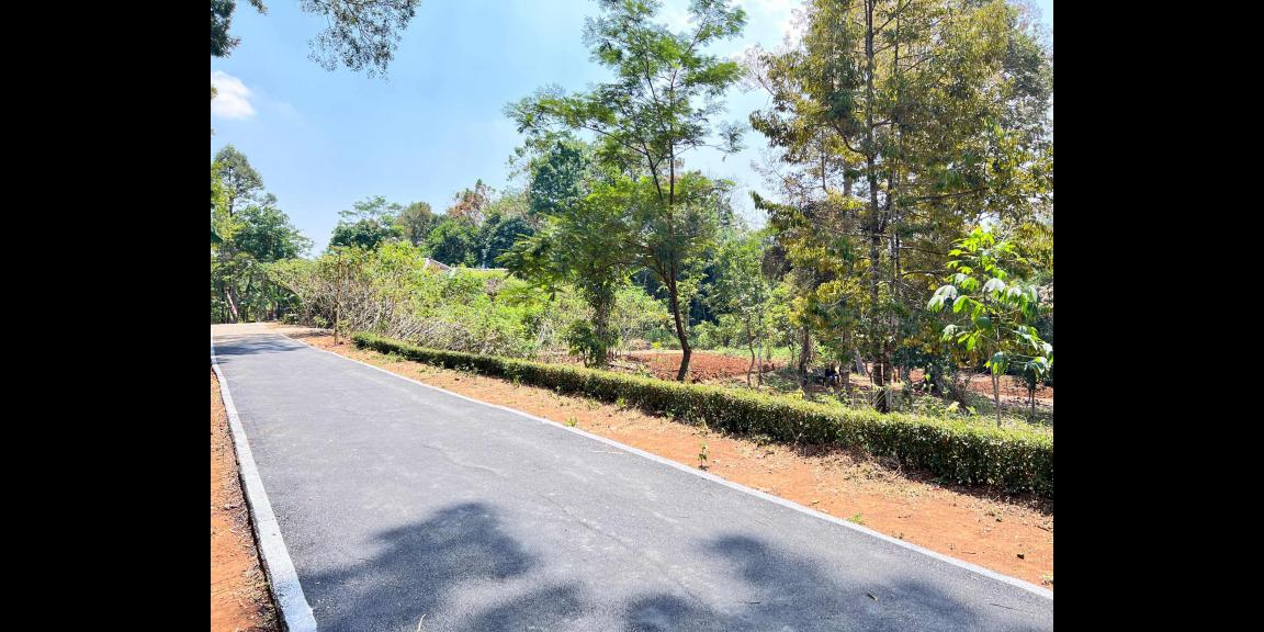 Kebun Buah 1550m 250 Juta Mojogedang Karanganyar Kebun Buah 1550m 250 Juta Mojogedang Karanganyar