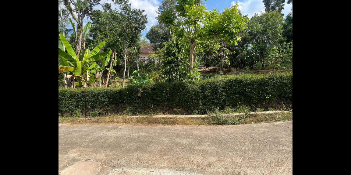 Tanah 2200m² Hanya 400 Juta Selatan Pasar Mojogedang Tanah 2200m² Hanya 400 Juta Selatan Pasar Mojogedang