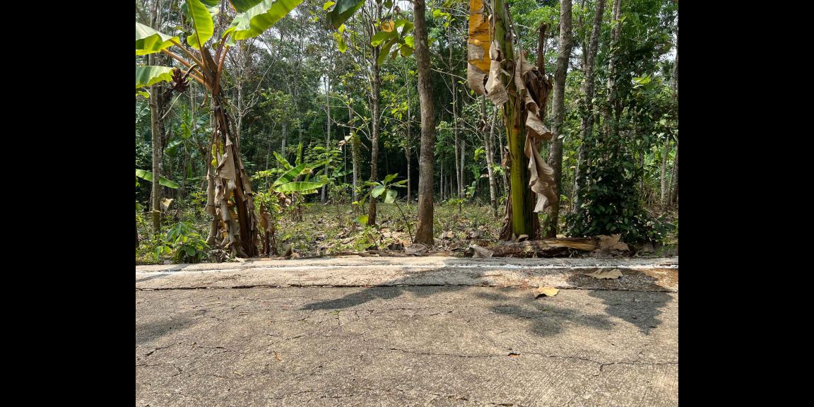 Pekarangan Datar 959m² Utara Pasar Mojogedang Pekarangan Datar 959m² Utara Pasar Mojogedang