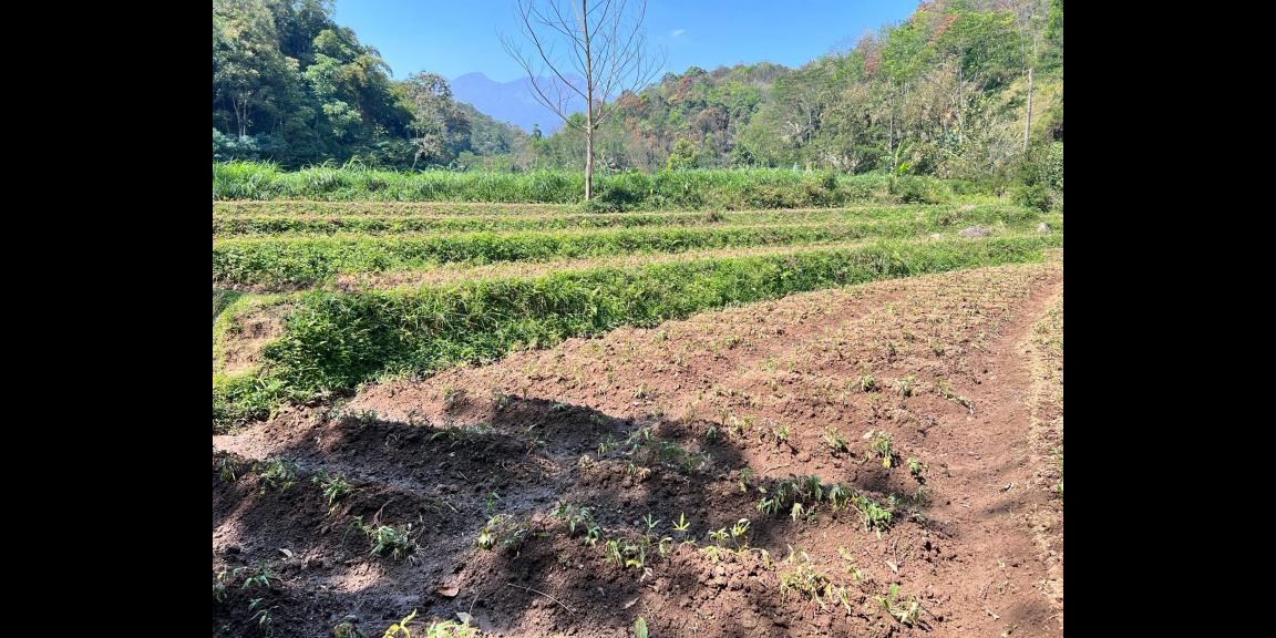 Tanah 2292m Dekat Sungai Pegunungan Ngargoyoso Tanah 2292m Dekat Sungai Pegunungan Ngargoyoso