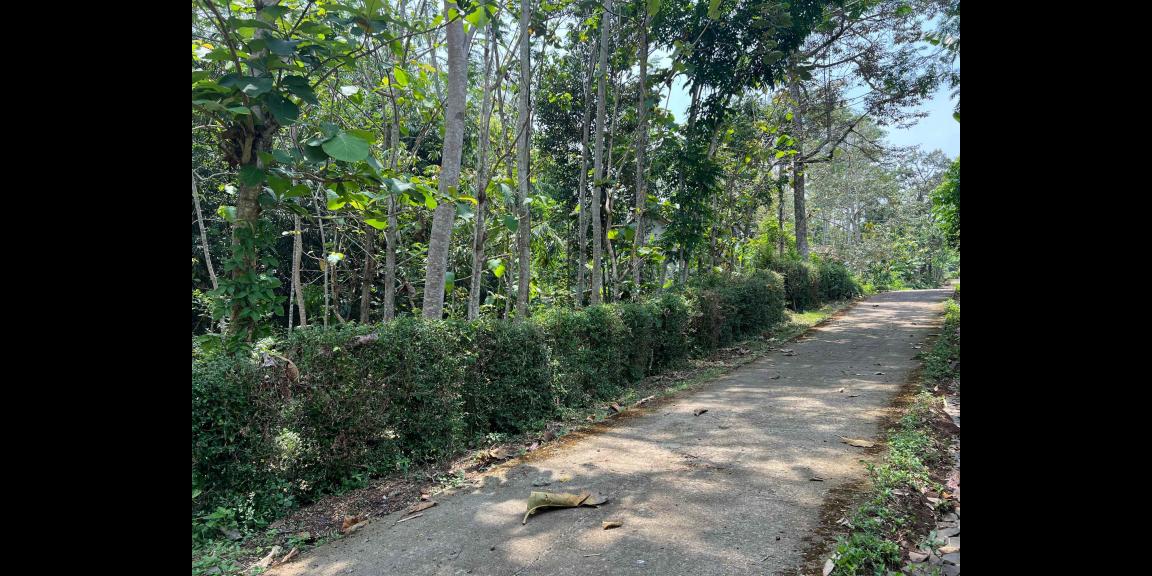 Tanah Datar 2305m² 350 Juta Karanganyar Tanah Datar 2305m² 350 Juta Karanganyar