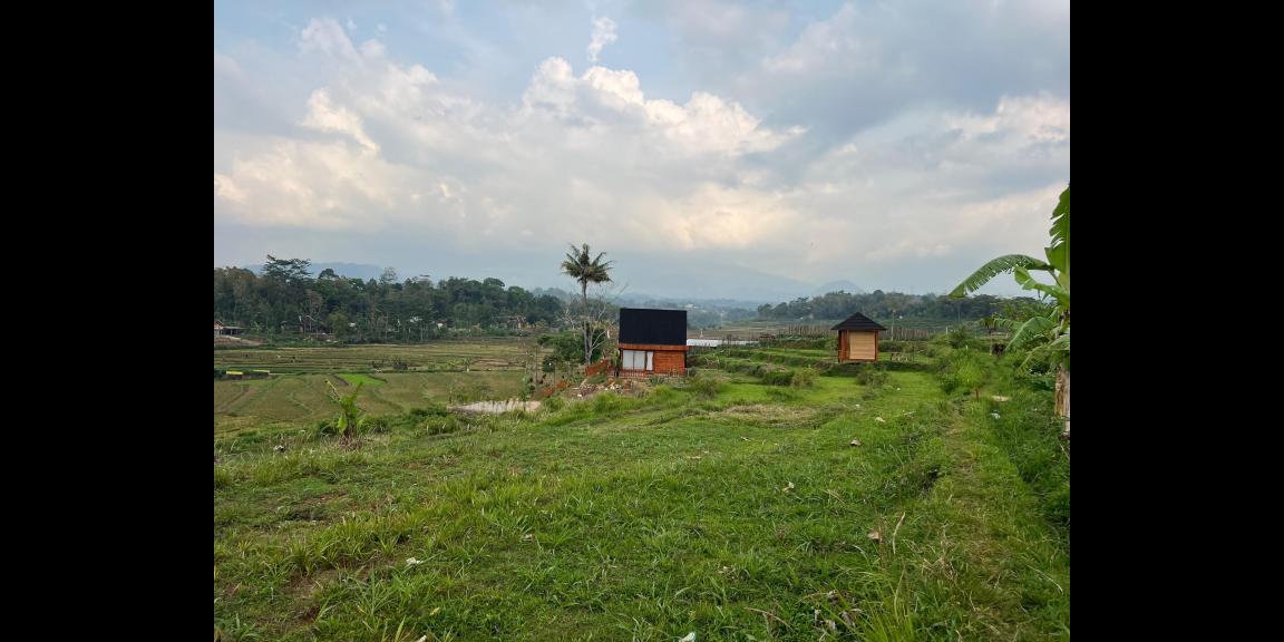 Tanah Subur 1209m² Karangpandan Karanganyar Tanah Subur 1209m² Karangpandan Karanganyar