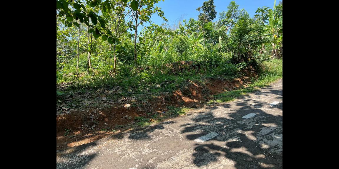 Pekarangan Datar 1376m² Kerjo Karanganyar Pekarangan Datar 1376m² Kerjo Karanganyar