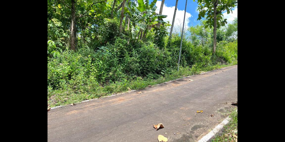 Tanah Murah 2000m² 350 Juta Karanganyar Tanah Murah 2000m² 350 Juta Karanganyar