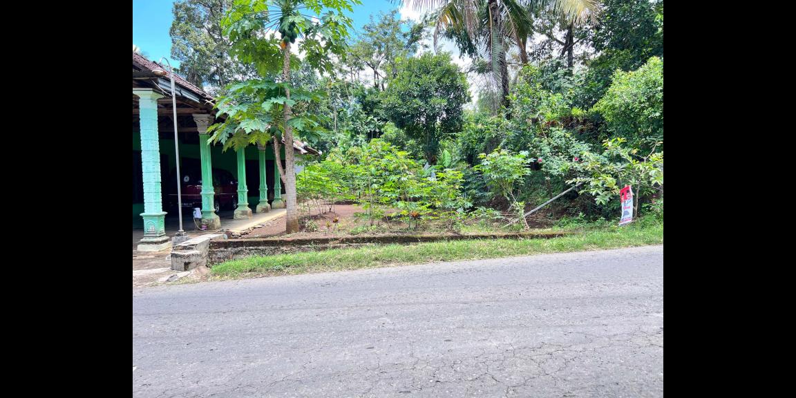 Tanah Strategis 300 Juta Tepi Jl Raya Batujamus- Kemuning Tanah Strategis 300 Juta Tepi Jl Raya Batujamus- Kemuning