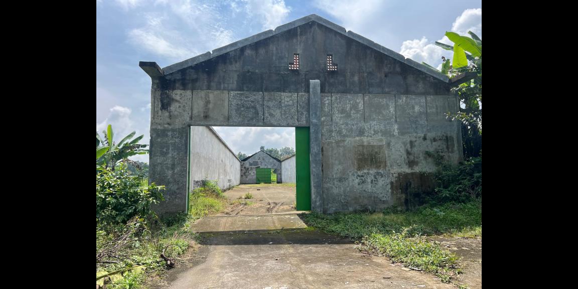 Tanah 2528m² Bonus Gudang Kawasan Wisata Karanganyar Tanah 2528m² Bonus Gudang Kawasan Wisata Karanganyar