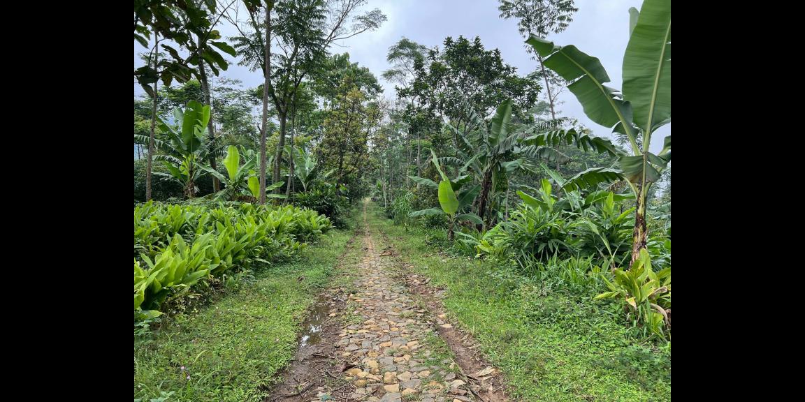 Tanah Udara Dingin 150 Juta Cocok Kebuh Buah Karanganyar Tanah Udara Dingin 150 Juta Cocok Kebuh Buah Karanganyar