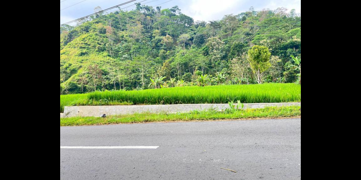 Tanah 469m² Tepi Jl Raya Strategis Bangun Villa Karanganyar Tanah 469m² Tepi Jl Raya Strategis Bangun Villa Karanganyar