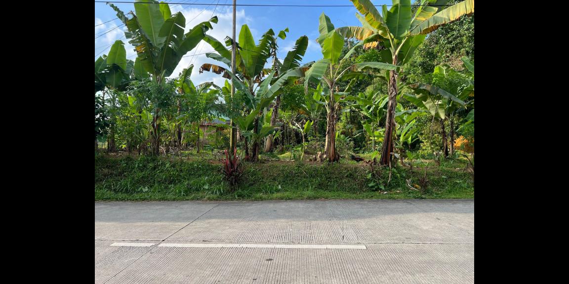 Tanah Strategis 350 Juta Tepi Jl Raya Kemuning-Karangpandan Tanah Strategis 350 Juta Tepi Jl Raya Kemuning-Karangpandan