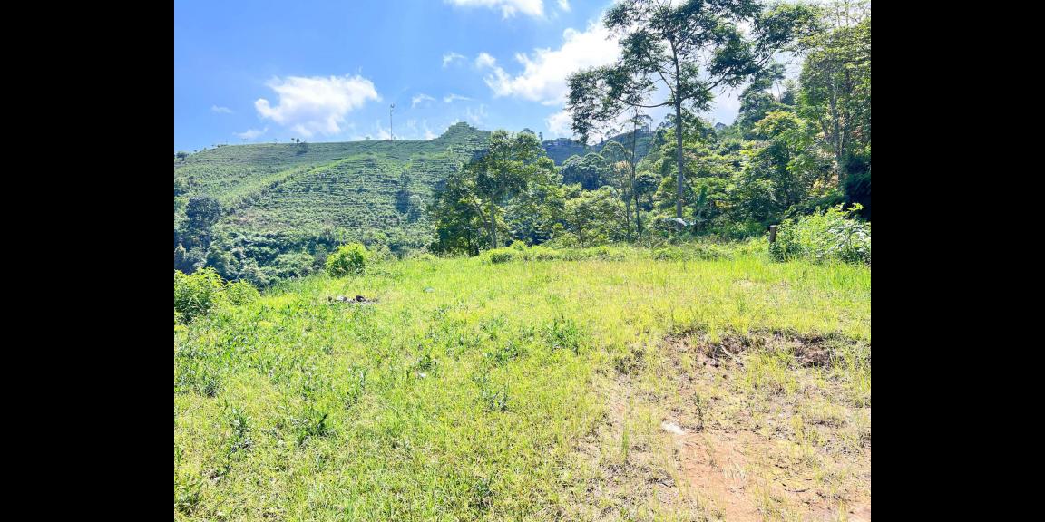 Tanah 5971m² Cocok Untuk Wisata View Kebun Teh Kemuning Tanah 5971m² Cocok Untuk Wisata View Kebun Teh Kemuning