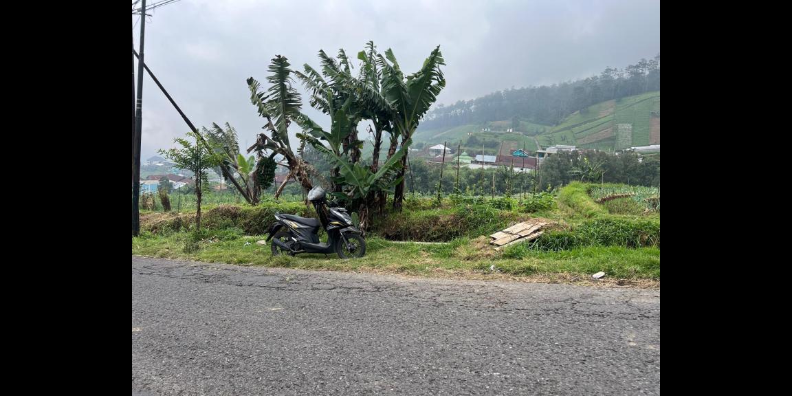 Tanah 822m² Strategis Untuk Café Tepi Jl Raya Tawangmangu Tanah 822m² Strategis Untuk Café Tepi Jl Raya Tawangmangu