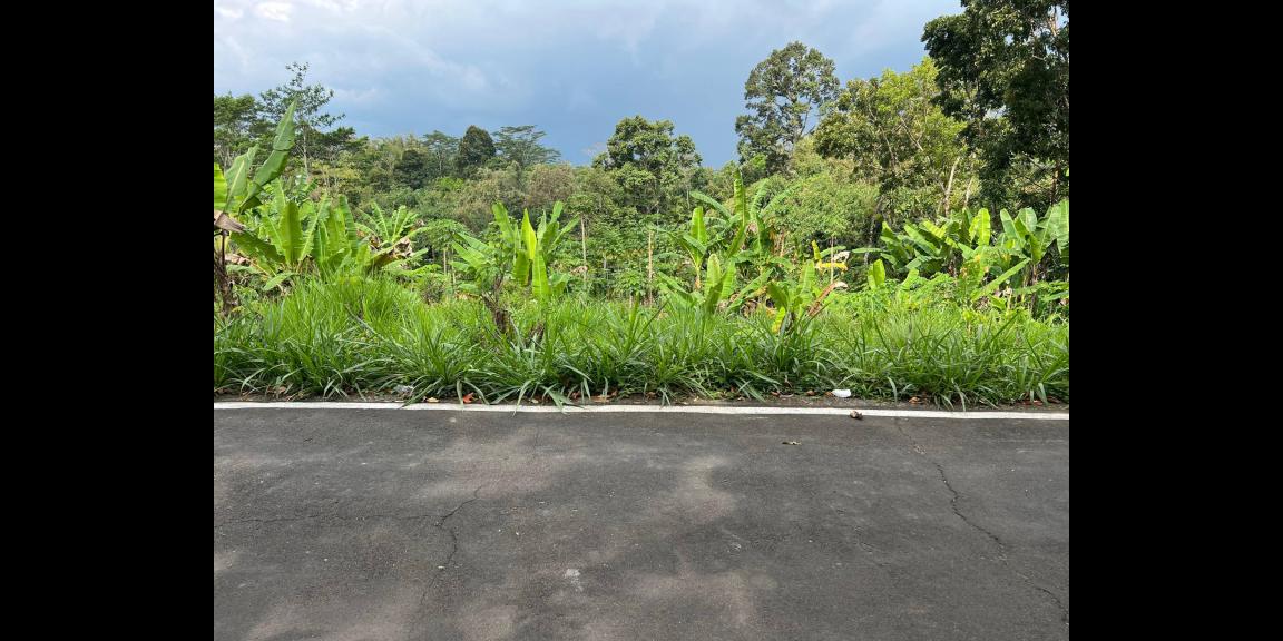 Tanah 2242m² Dekat Ponpes MTA Mojogedang Tanah 2242m² Dekat Ponpes MTA Mojogedang