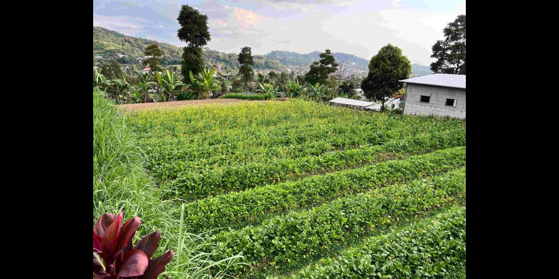 Tanah Lingkungan Wisata 700m² Istimewa Karangpandan Tanah Lingkungan Wisata 700m² Istimewa Karangpandan