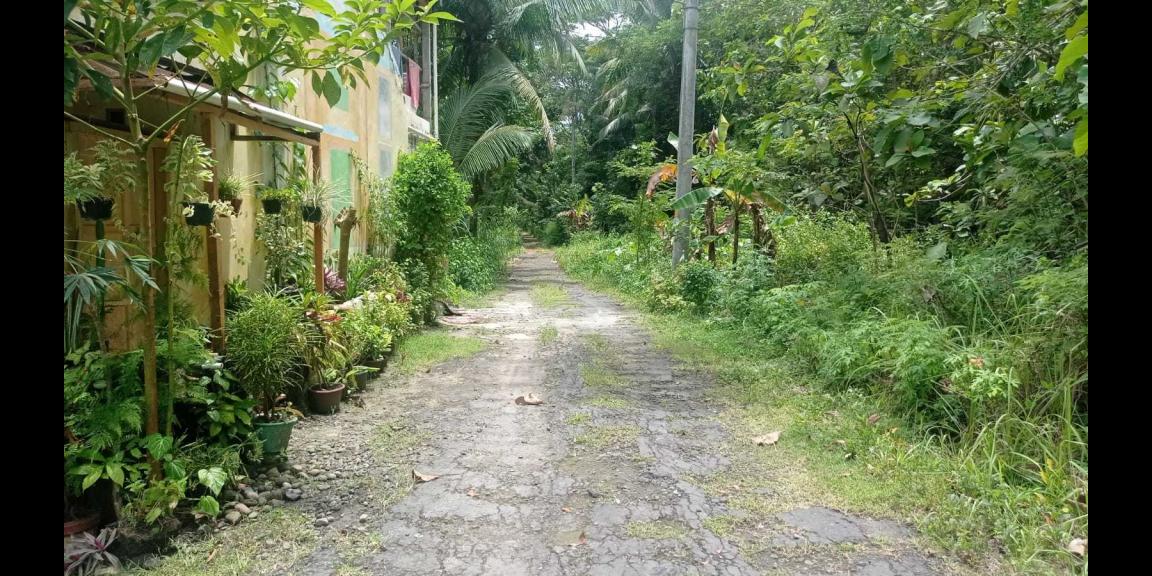 Rumah Komersil Bukan Subsidi di Krembangan dekat Bandara YIA Kulon Progo Rumah Komersil Bukan Subsidi di Krembangan dekat Bandara YIA Kulon Progo