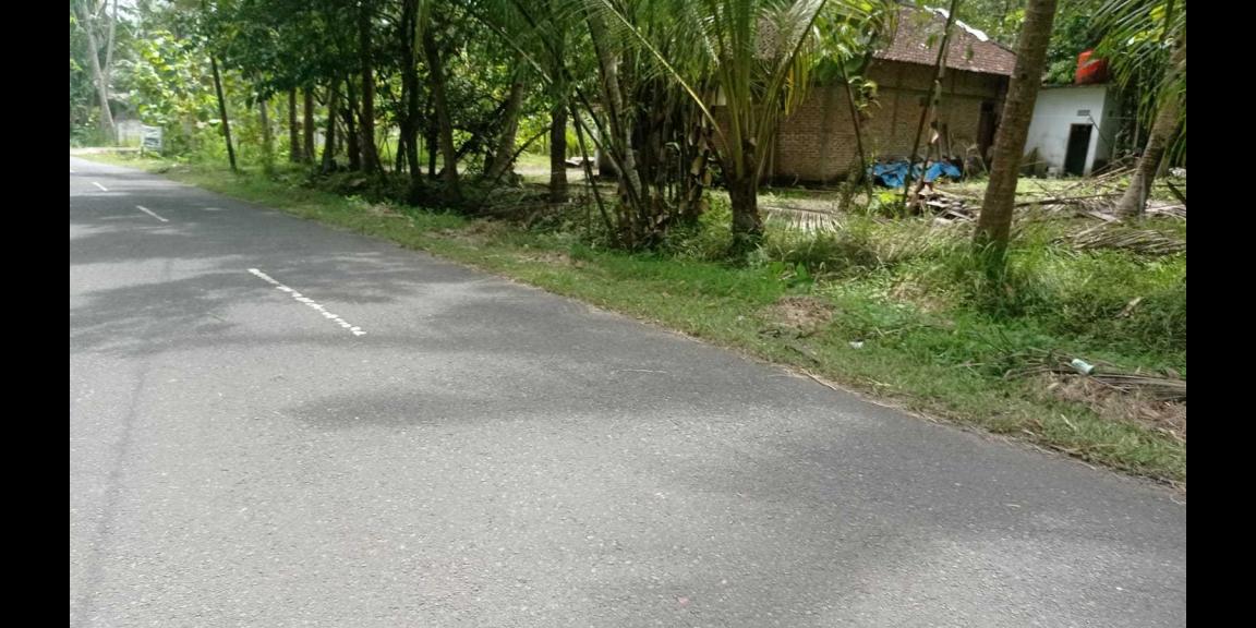 Rumah Cluster Non Subsidi di Krembangan Panjatan Kulon progo Harga dibawah 200 Juta Rumah Cluster Non Subsidi di Krembangan Panjatan Kulon progo Harga dibawah 200 Juta