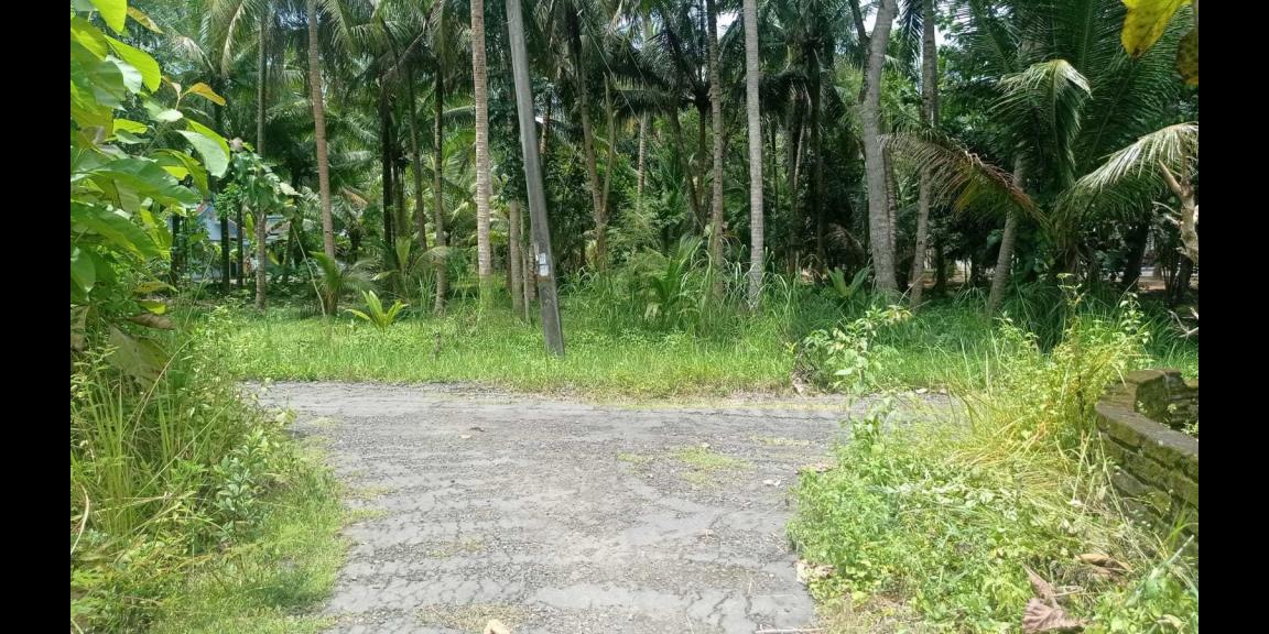 Investasi Jangka Panjang, Rumah Siap Bangun di Jogja Barat dekat Bandara YIA Kulon Progo Investasi Jangka Panjang, Rumah Siap Bangun di Jogja Barat dekat Bandara YIA Kulon Progo