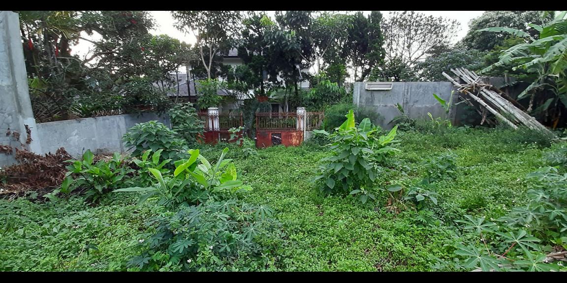 TANAH MATANG DAGO ASRI KOTA BANDUNG TANAH MATANG DAGO ASRI KOTA BANDUNG