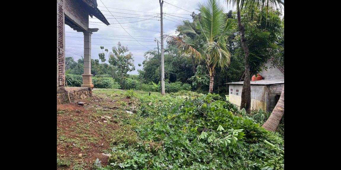 Tanah 125 Juta Tepi Jl Raya Kerjo-Karanganyar Tanah 125 Juta Tepi Jl Raya Kerjo-Karanganyar