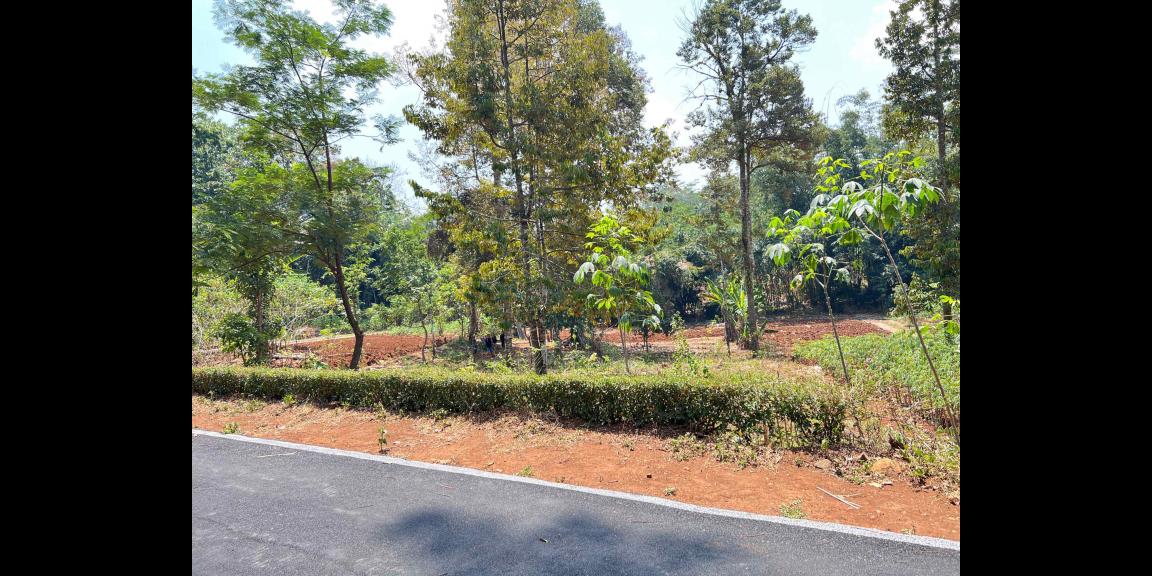 Tanah Murah 1550m² 250 Juta Mojogedang Tanah Murah 1550m² 250 Juta Mojogedang