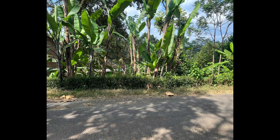 Tanah 2200m² Hanya 400 Juta Selatan Pasar Mojogedang Tanah 2200m² Hanya 400 Juta Selatan Pasar Mojogedang