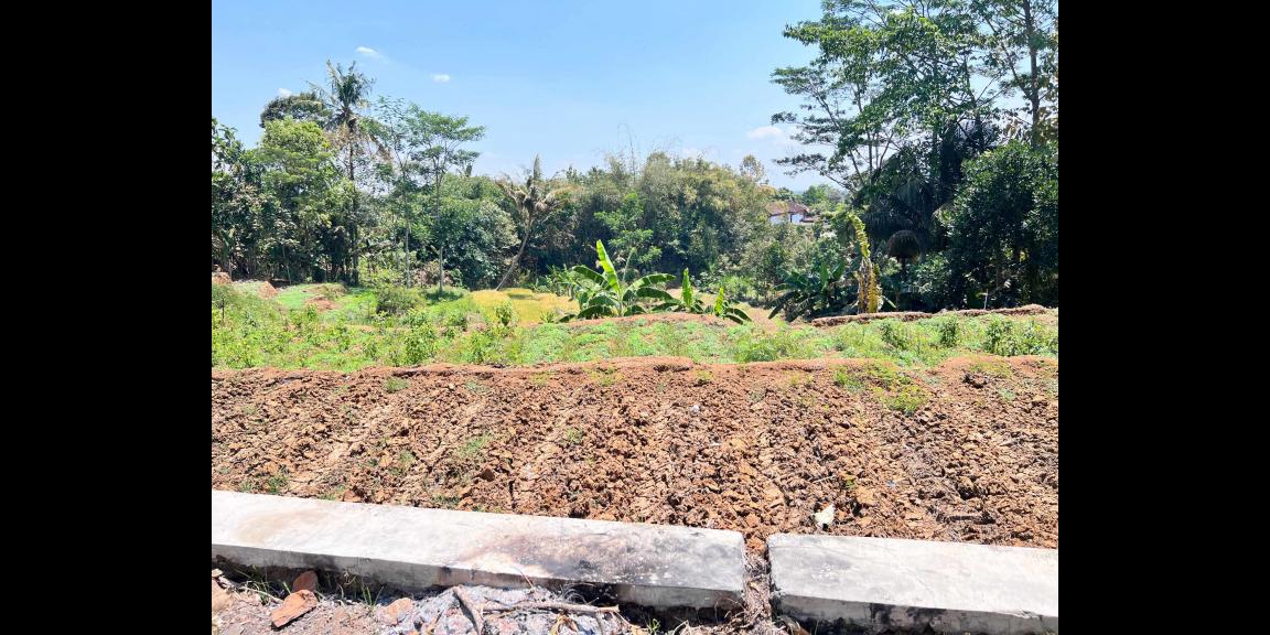 Tanah Murah 250 Juta Karangpandan   Tanah Murah 250 Juta Karangpandan