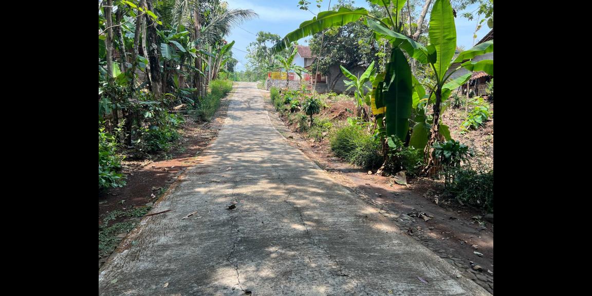 Tanah Murah 125 Juta Mojogedang Karanganyar Tanah Murah 125 Juta Mojogedang Karanganyar