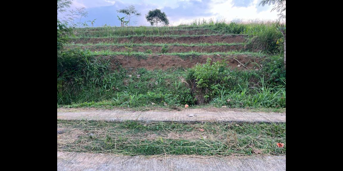 Tanah Subur 1209m² Karangpandan Karanganyar Tanah Subur 1209m² Karangpandan Karanganyar