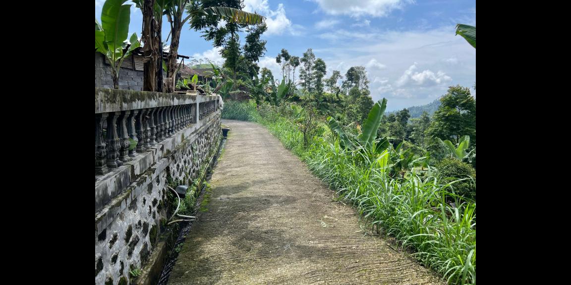 Tanah 200 Juta Timur Jembatan Kaca Kemuning Tanah 200 Juta Timur Jembatan Kaca Kemuning