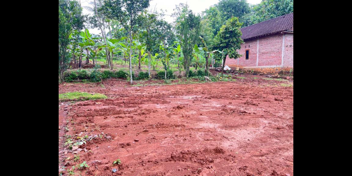 Tanah Murah 2216m² 450 Juta Bonus Bangunan Karanganyar Tanah Murah 2216m² 450 Juta Bonus Bangunan Karanganyar