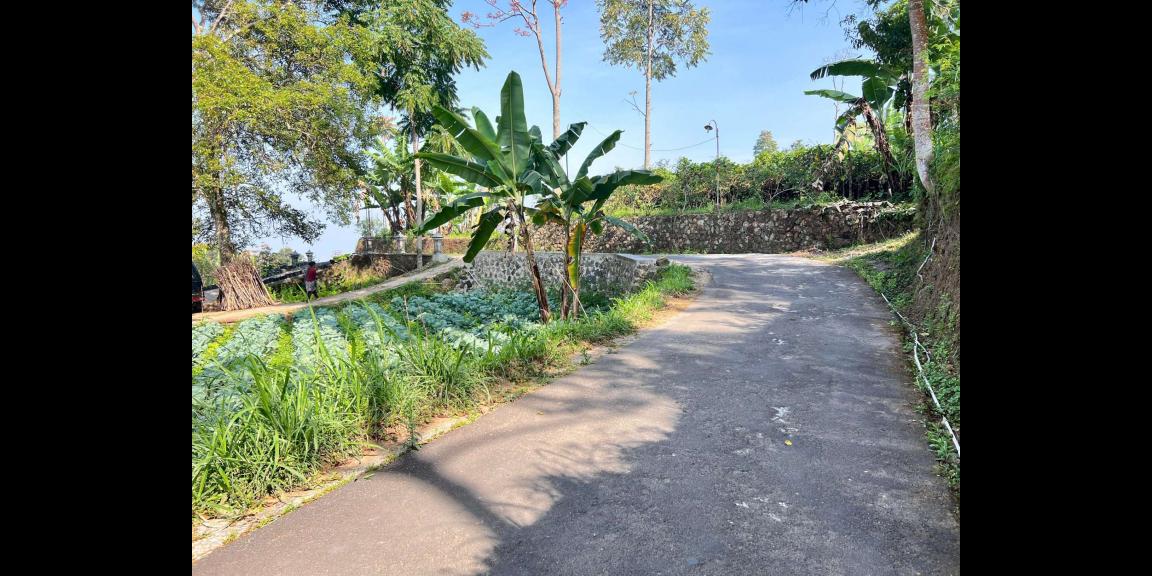 Tanah Murah 350 Juta Siap Bangun Villa Karanganyar Tanah Murah 350 Juta Siap Bangun Villa Karanganyar