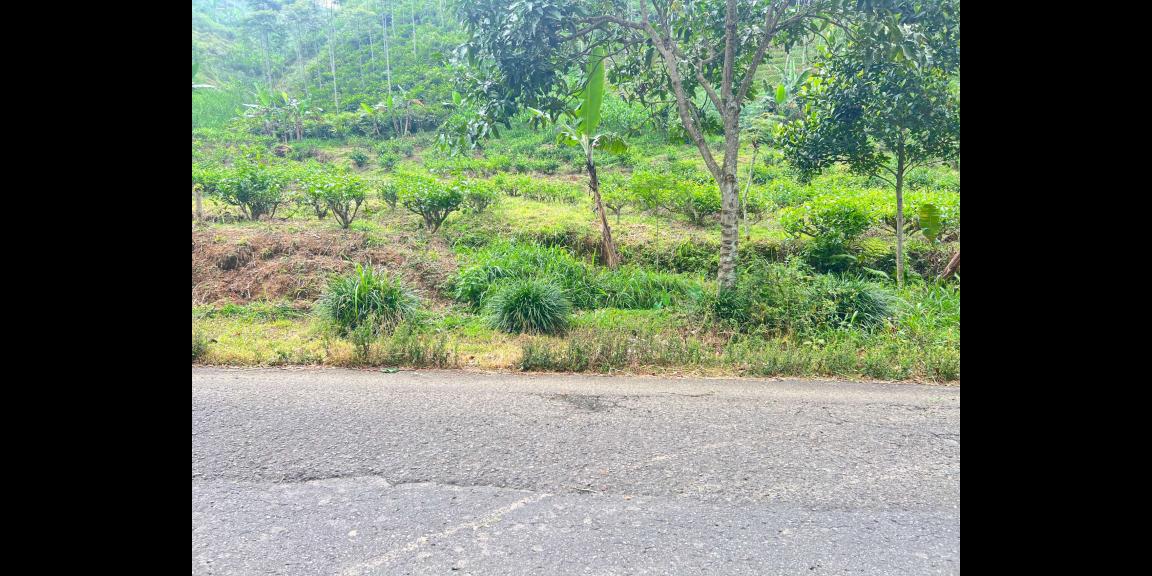 Tanah 1500m² Siap Bangun Café Kawasan Wisata Kemuning Tanah 1500m² Siap Bangun Café Kawasan Wisata Kemuning