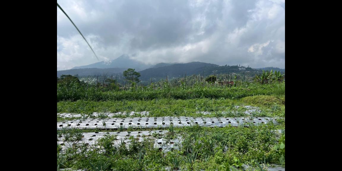 Tanah 2528m² Bonus Gudang Kawasan Wisata Karanganyar Tanah 2528m² Bonus Gudang Kawasan Wisata Karanganyar