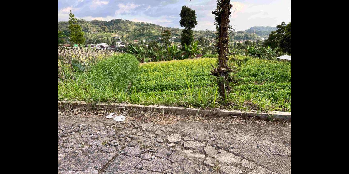 Tanah Lingkungan Wisata 700m² Istimewa Karangpandan Tanah Lingkungan Wisata 700m² Istimewa Karangpandan