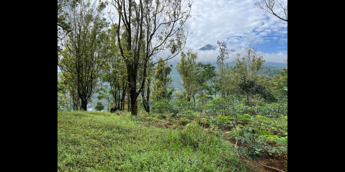 Tanah Idaman 7700m² Cocok Untuk Villa Karanganyar Tanah Idaman 7700m² Cocok Untuk Villa Karanganyar