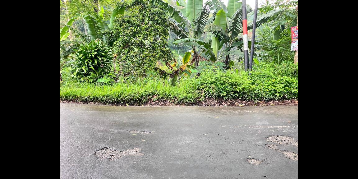 Tanah 250 Juta Strategis Bangun Café Kemuning Tanah 250 Juta Strategis Bangun Café Kemuning