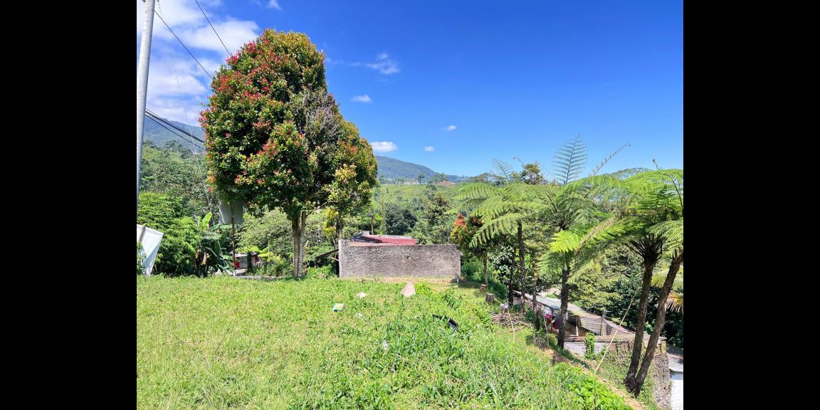 Tanah 5971m² Cocok Untuk Wisata View Kebun Teh Kemuning Tanah 5971m² Cocok Untuk Wisata View Kebun Teh Kemuning