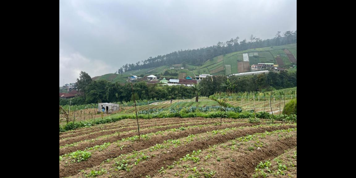 Tanah 822m² Strategis Untuk Café Tepi Jl Raya Tawangmangu Tanah 822m² Strategis Untuk Café Tepi Jl Raya Tawangmangu