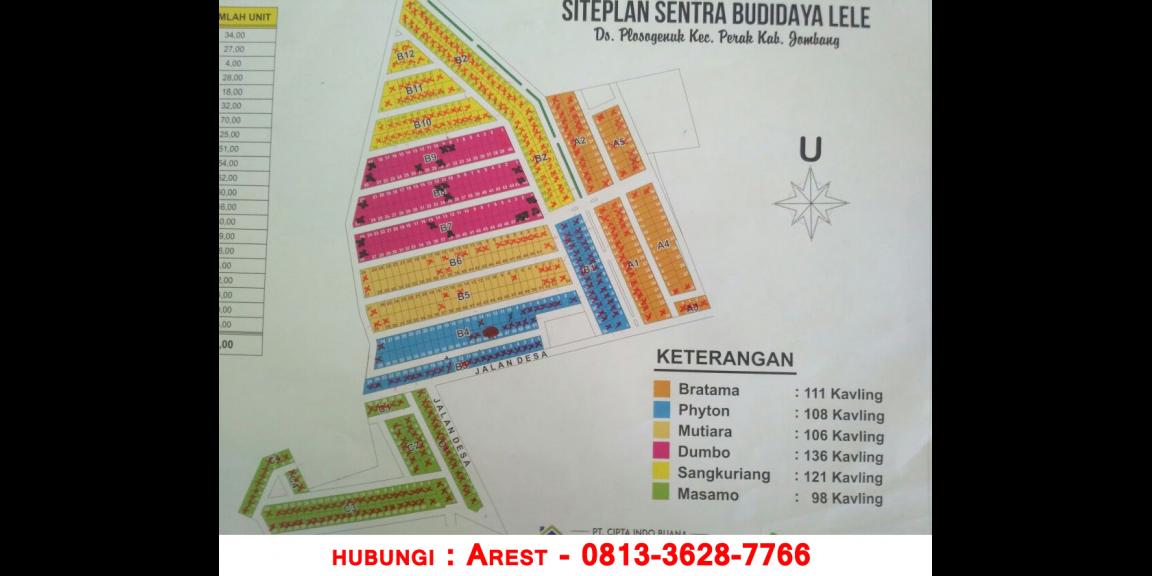 Beli Properti Dibayar Lele - Miliki Tanahnya Dan Nikmati Hasilnya Beli Properti Dibayar Lele - Miliki Tanahnya Dan Nikmati Hasilnya