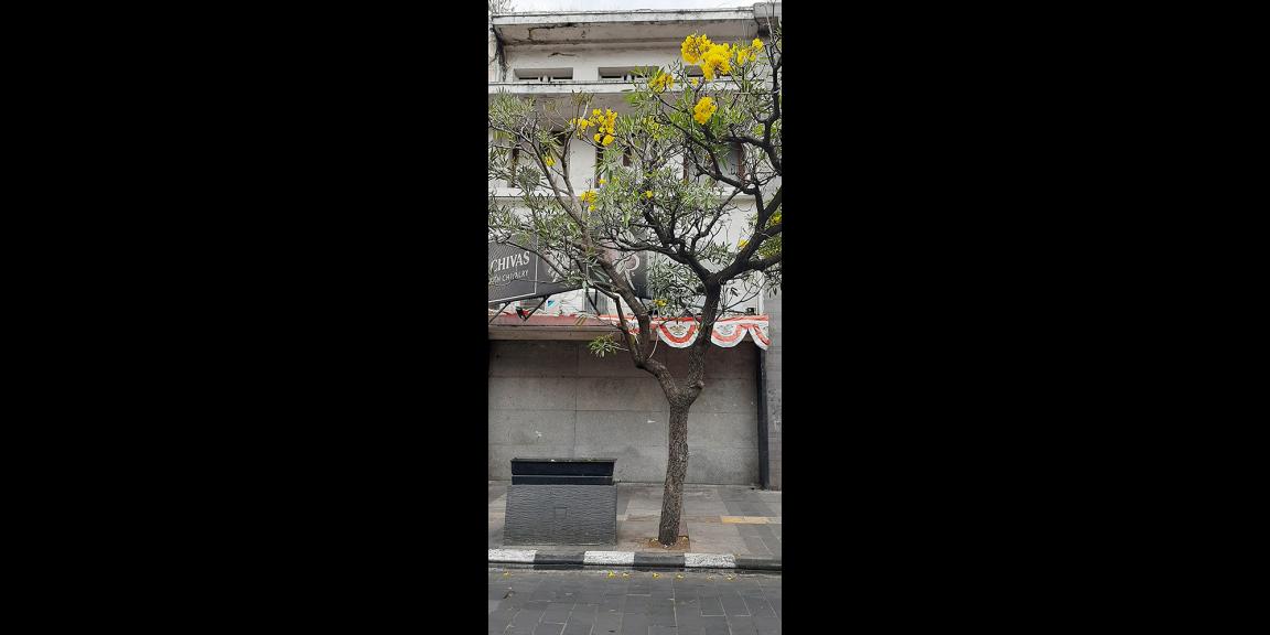 RUKO DUA LANTAI MAIN ROAD BRAGA BANDUNG RUKO DUA LANTAI MAIN ROAD BRAGA BANDUNG