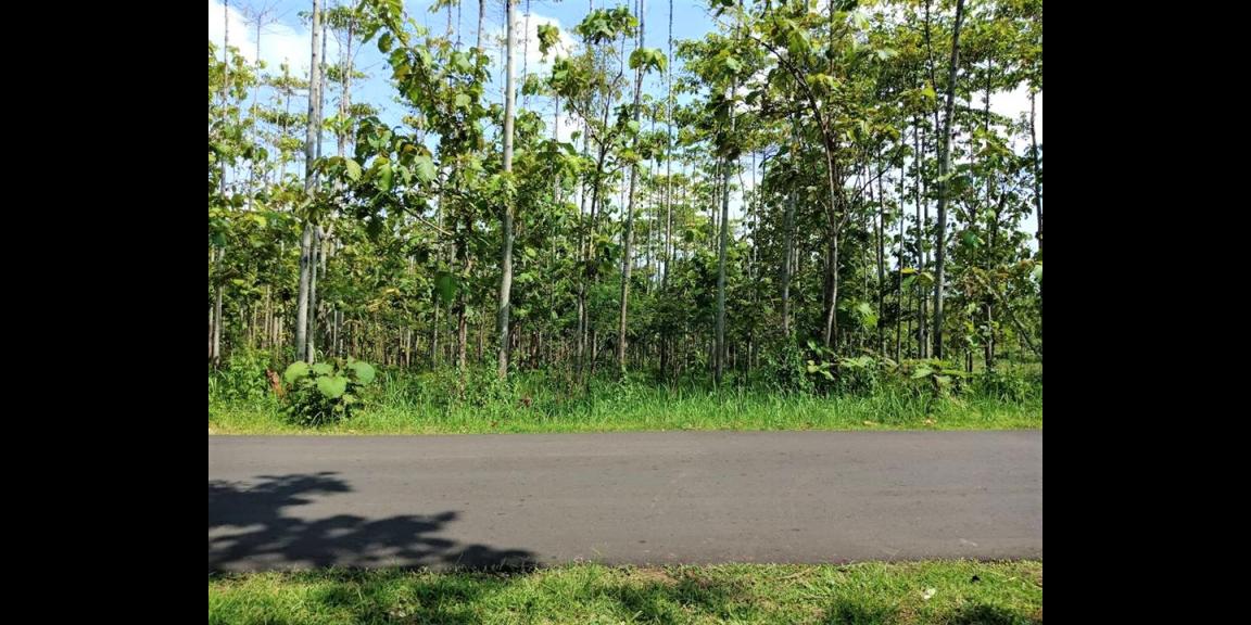 Jual Tanah Strategis 3000m² Jl Raya Sragen Kerjo Karanganyar Jual Tanah Strategis 3000m² Jl Raya Sragen Kerjo Karanganyar