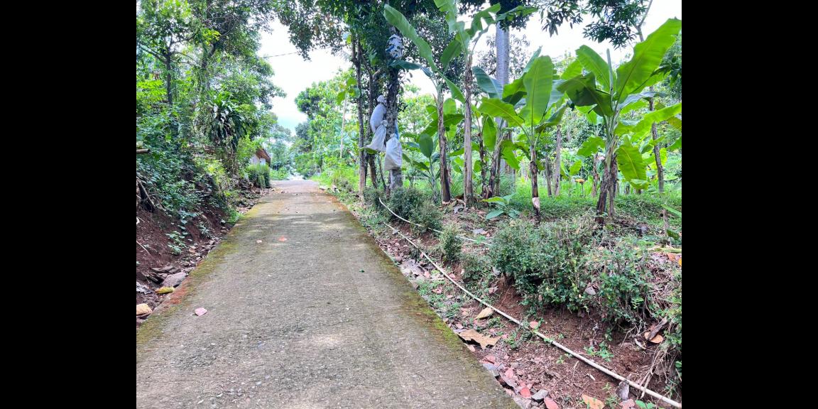 Tanah 2216m² Bonus Bangunan Rumah Karanganyar Tanah 2216m² Bonus Bangunan Rumah Karanganyar