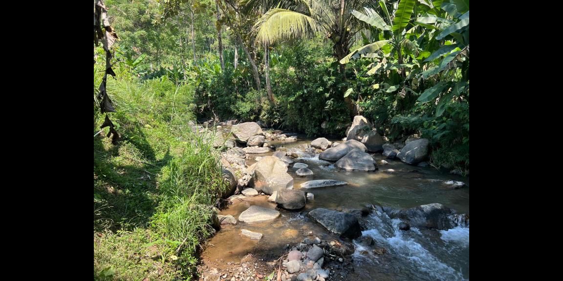 Tanah 1327m² Dekat Sungai Kawasan Wisata Ngargoyoso Tanah 1327m² Dekat Sungai Kawasan Wisata Ngargoyoso