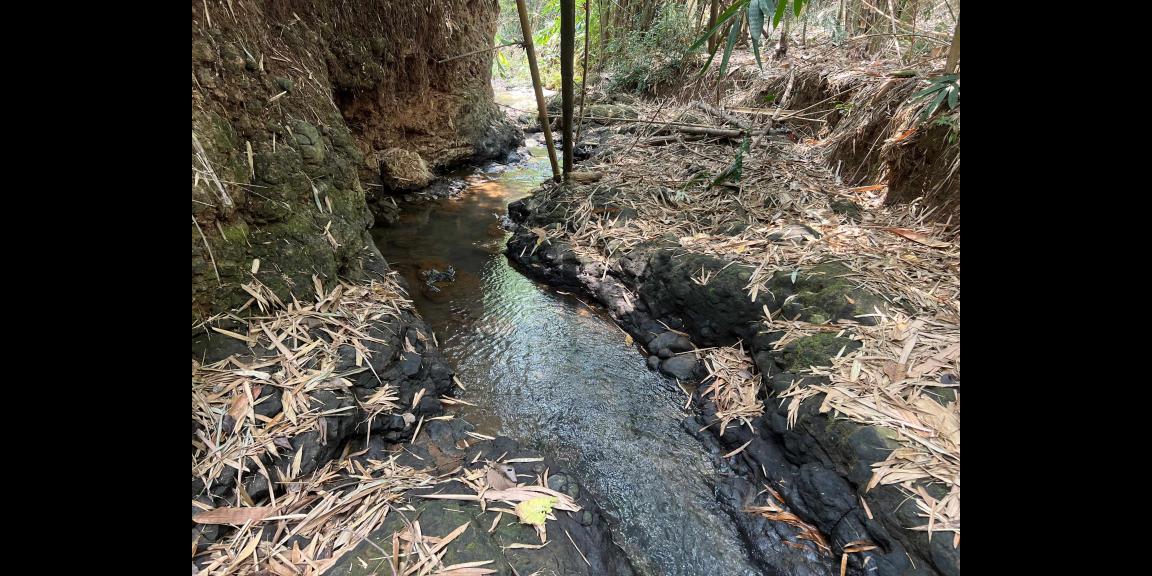 Pekarangan Datar 959m² Utara Pasar Mojogedang Pekarangan Datar 959m² Utara Pasar Mojogedang