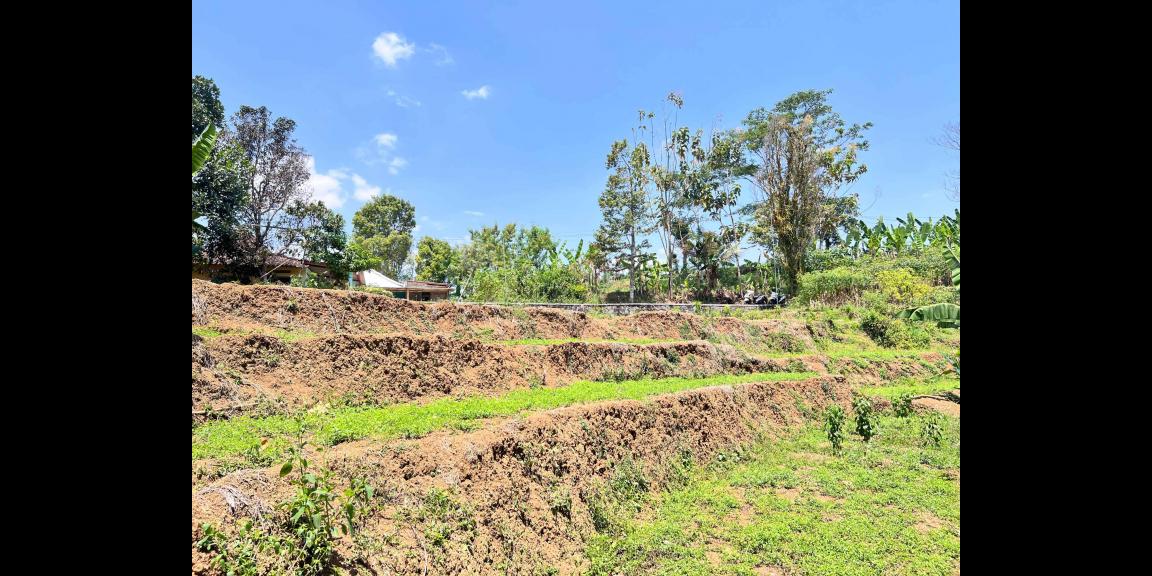 Tanah Murah 250 Juta Karangpandan   Tanah Murah 250 Juta Karangpandan