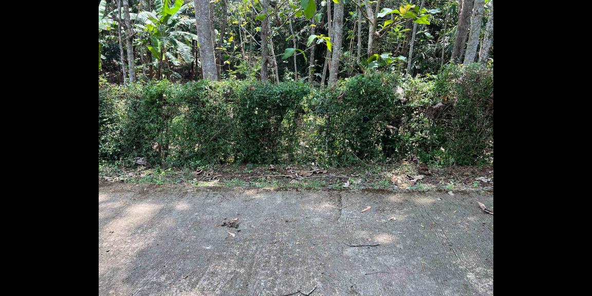 Tanah Datar 2305m² 350 Juta Karanganyar Tanah Datar 2305m² 350 Juta Karanganyar