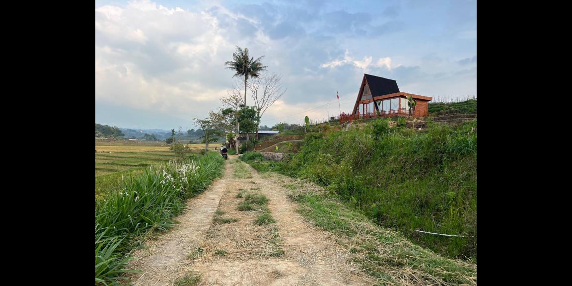 Tanah Subur 1209m² Karangpandan Karanganyar Tanah Subur 1209m² Karangpandan Karanganyar